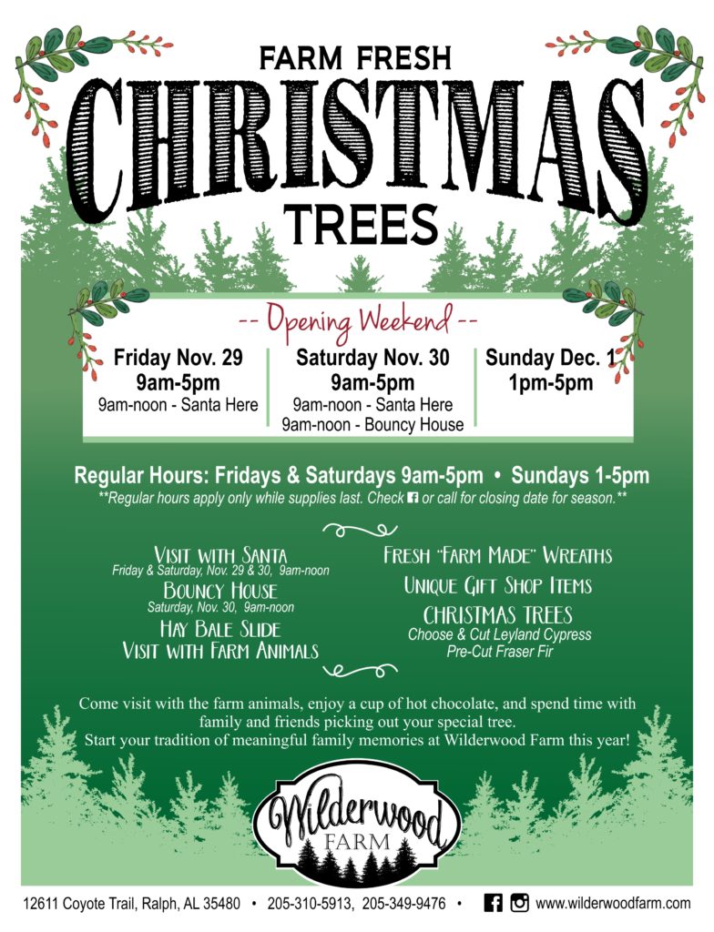 Wilderwood Farm – Choose and Cut Christmas Trees